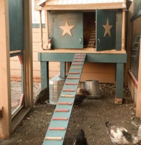 Free Chicken Coop Plans