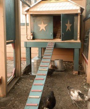 Free Chicken Coop Plans